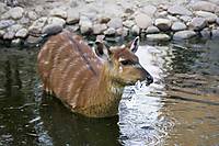 IMG_3810_zoo.jpg