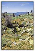 IMG_3812_800x600_.jpg