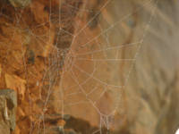 IMG_3873.jpg