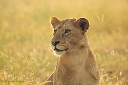 IMG_38891.JPG
