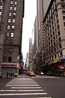 IMG_39681.jpg