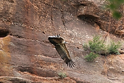 IMG_40334.JPG