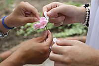 IMG_4350-pq.jpg