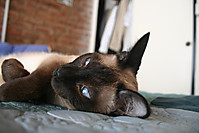 IMG_4357_2.jpg