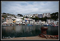 IMG_44121.jpg