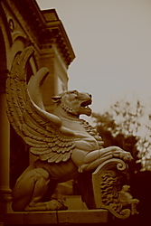 IMG_44161.JPG