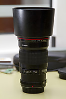 IMG_4501foro.jpg