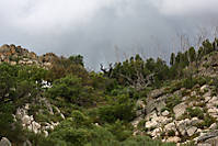 IMG_4542_50mm.jpg