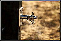 IMG_4618_2.jpg