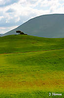 IMG_4822_2.jpg