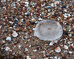 IMG_4830_11.jpg