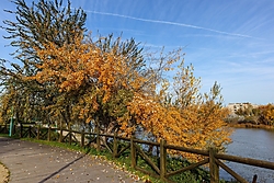 IMG_48733.jpg
