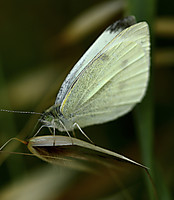 IMG_5034_2.jpg