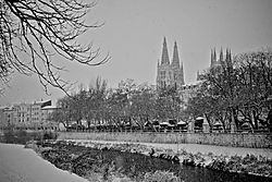 IMG_50622.jpg