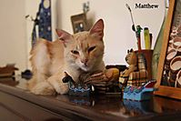 IMG_5072aa.jpg