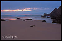 IMG_51262.jpg