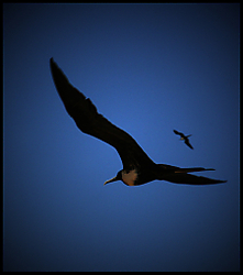 IMG_5166_copia.jpg