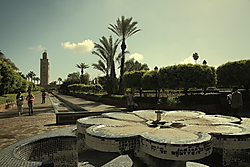 IMG_52591.JPG