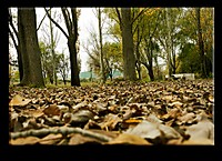 IMG_5357-2_copia_Large_.jpg