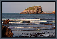 IMG_5363p.jpg