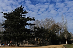 IMG_5378_1068x712.jpg