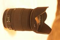 IMG_5430_Medium_1.JPG