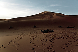 IMG_54954.JPG