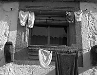 IMG_5584_Large_.jpg