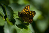 IMG_5614.jpg