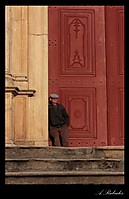 IMG_5661_copia_Large_.jpg