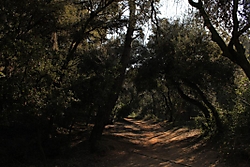 IMG_5671_1068x712.jpg