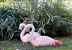 IMG_56732.jpg