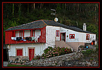 IMG_5684PUL.jpg