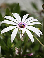 IMG_5792.jpg