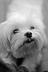IMG_5894_2.jpg