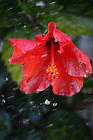 IMG_59441.jpg