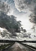 IMG_5949_copia.jpg