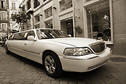 IMG_60031.JPG