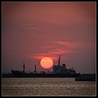 IMG_6026_web.jpg