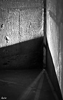 IMG_6068-2.jpg