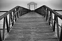 IMG_61581.jpg