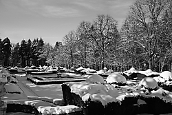 IMG_62331.JPG