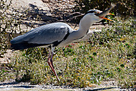 IMG_6352.jpg