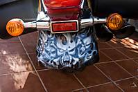 IMG_6431_800x600_.jpg