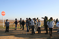 IMG_64845.JPG