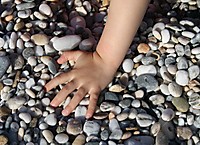 IMG_6509-crop.JPG