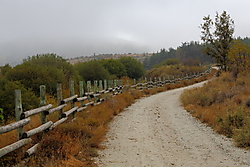 IMG_65253.JPG
