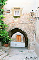 IMG_6726.jpg