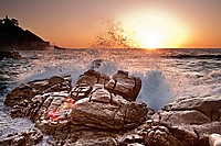 IMG_6794_P_3.jpg