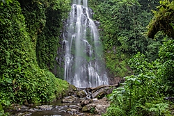 IMG_68182.jpg